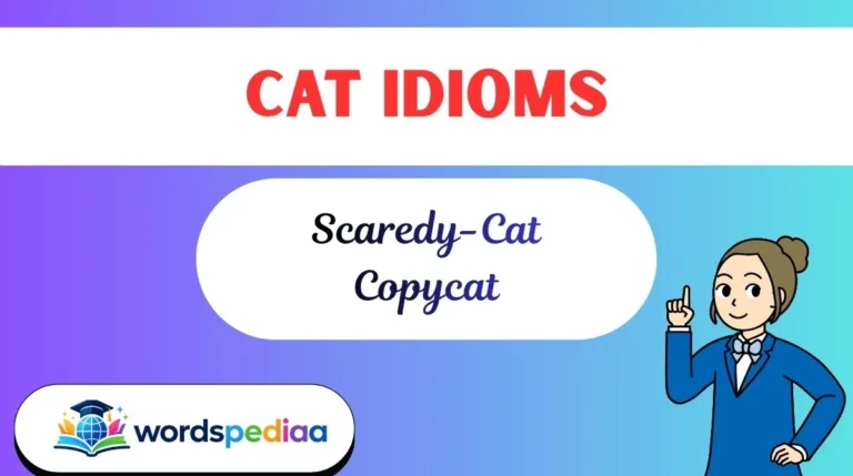 Cat Idioms